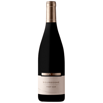 Bruno Colin Bourgogne Pinot Noir 2020 (1x75cl)