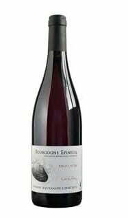 Domaine Jean Claude Courtault Bourgogne Epineuil 2018 (1x75cl)