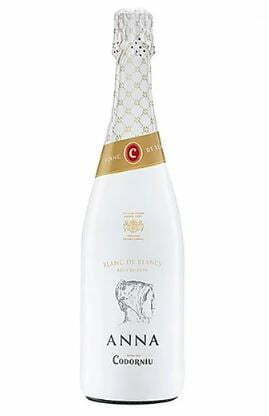 Anna de Codorniu - Anna Cava Blanc de Blancs Brut Reserva Catalonia (1x75cl)