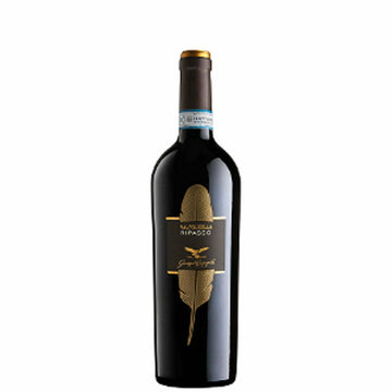 Giuseppe Campagnola Valpolicella Ripasso Classico Superiore DOC 2018 (1x75cl)